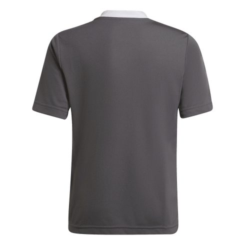 adidas Youth Entrada 22 Jersey - Grey H57499