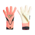 Pair of pink and black Adidas Predator goalkeeper gloves showing both the textured backhand with gold logos and the white latex palm.