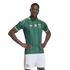 A Black man models a green and gold South African national team soccer kit, featuring a patterned jersey and white shorts, against a white background.