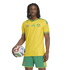 A person with dreadlocks wearing a yellow South African soccer kit, holding a soccer ball against a white background.