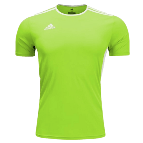 Adidas Entrada 18 Youth Jersey - Green CE9755